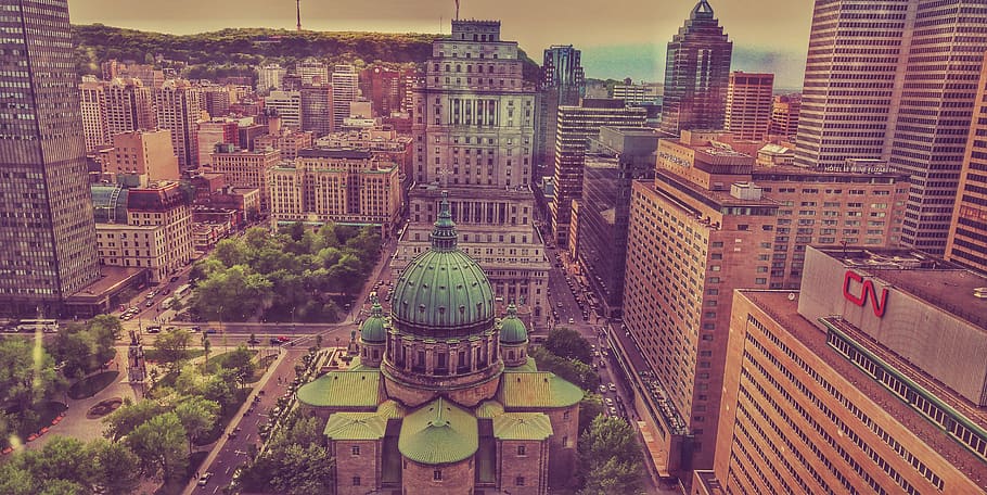 canada, montreal, downtown, cn, cars, trees, park, hotels, buildings HD wallpaper