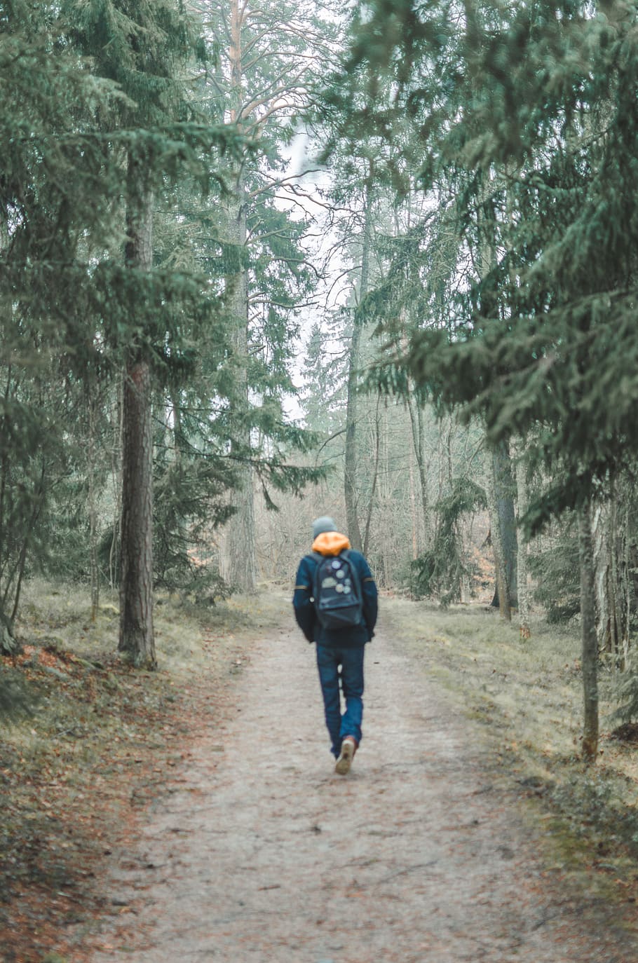 man waking narrow pathway near trees at daytime, plant, forest HD wallpaper