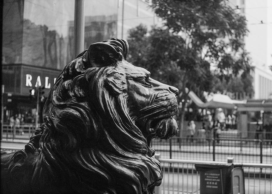 Grayscale Photo of Lion Statue, art, black and white, street HD wallpaper