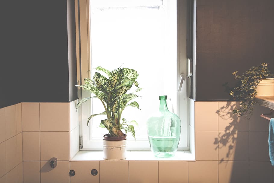 germany, mainz, wall, black wall, bathroom, bottle, window HD wallpaper