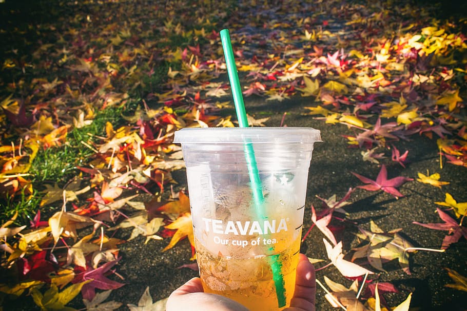 drink, starbucks, green straw, fall, leaf, leaves, clear, cup HD wallpaper