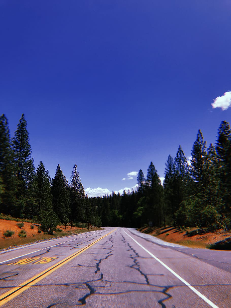 united states, yosemite national park, trees, roads, backroads, HD wallpaper