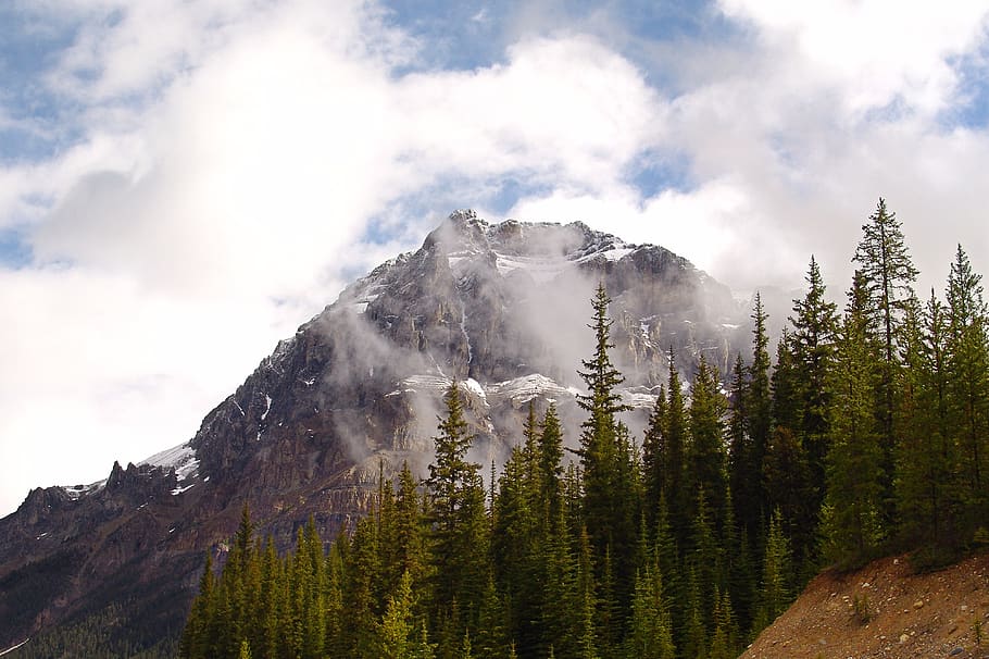 mountain, nature, landscape, wood, snow, cloud - sky, beauty in nature HD wallpaper