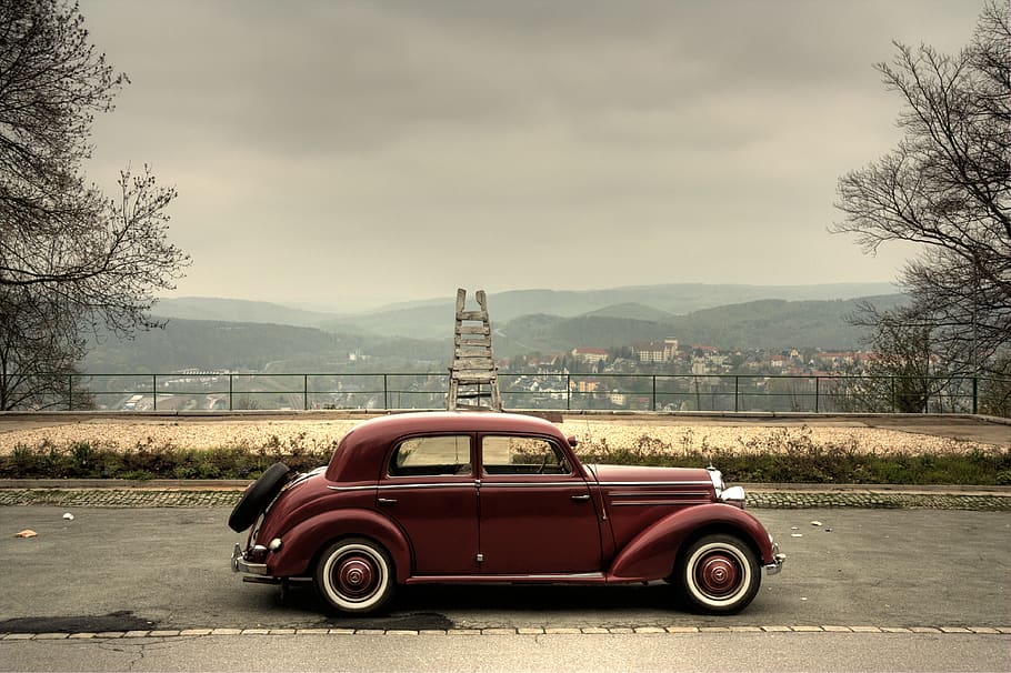 mode of transportation, land vehicle, car, motor vehicle, tree HD wallpaper