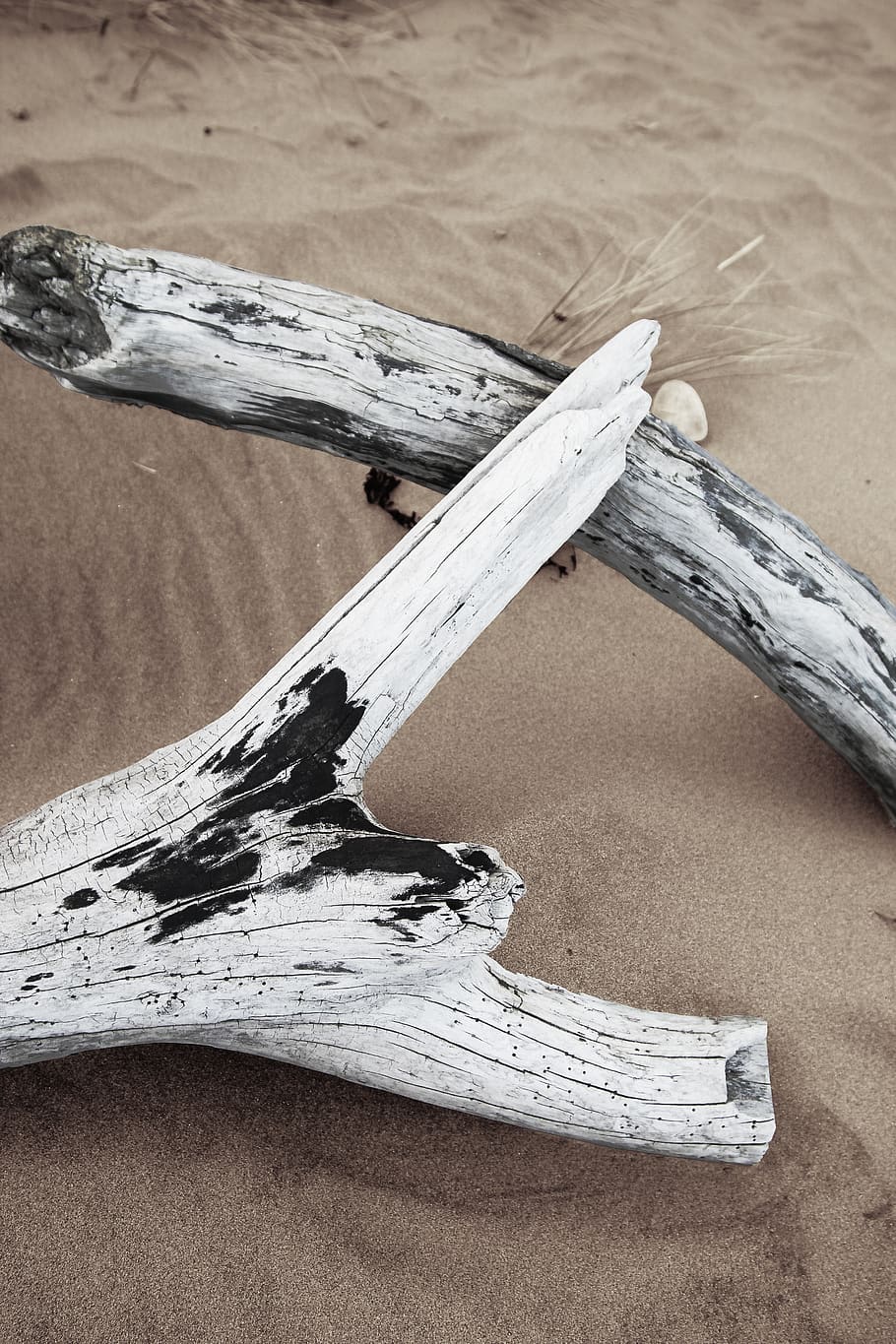 white wood logs on sand, wood - material, high angle view, indoors HD wallpaper