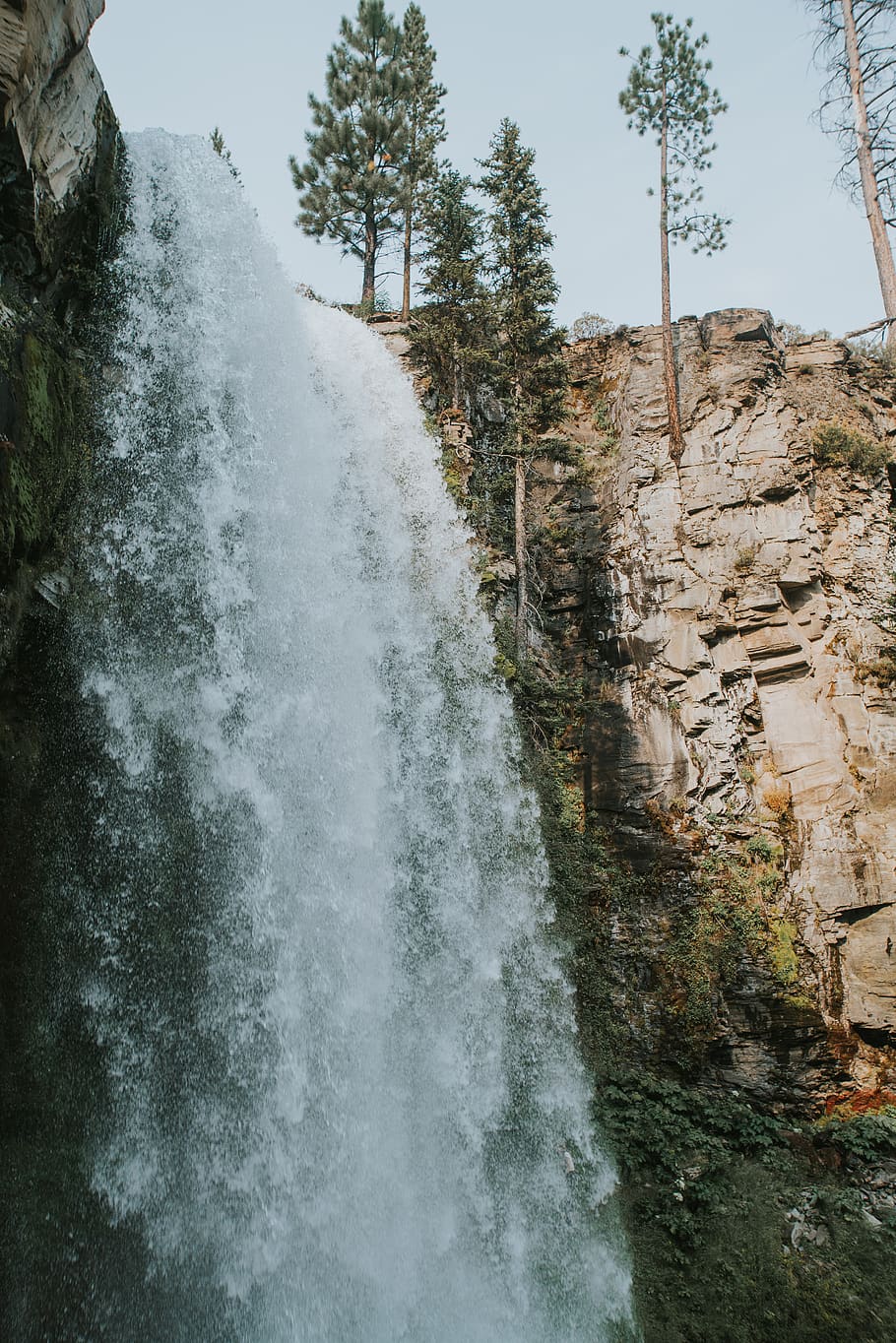 waterfall, motion, rock, long exposure, tree, beauty in nature HD wallpaper