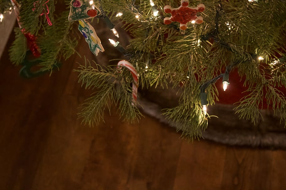 Holidays, Christmas, Christmas Tree, Candy Cane, Lights, Decorations HD wallpaper