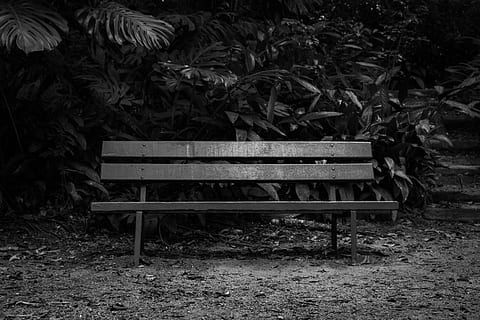 bench, bank, have a sit please, forest, park, seat, nature HD wallpaper