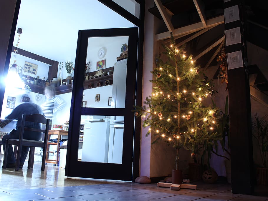 tree, christmas, christmas tree, decoration, illuminated, plant HD wallpaper