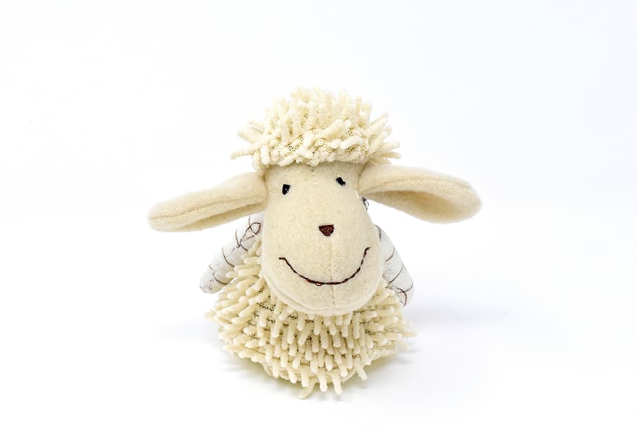 sheep, stuffed animal, cute, schäfchen, fun, funny, sweet HD wallpaper