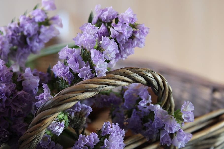sea lavender, violet, feeling, limonium flower, purple, basket HD wallpaper