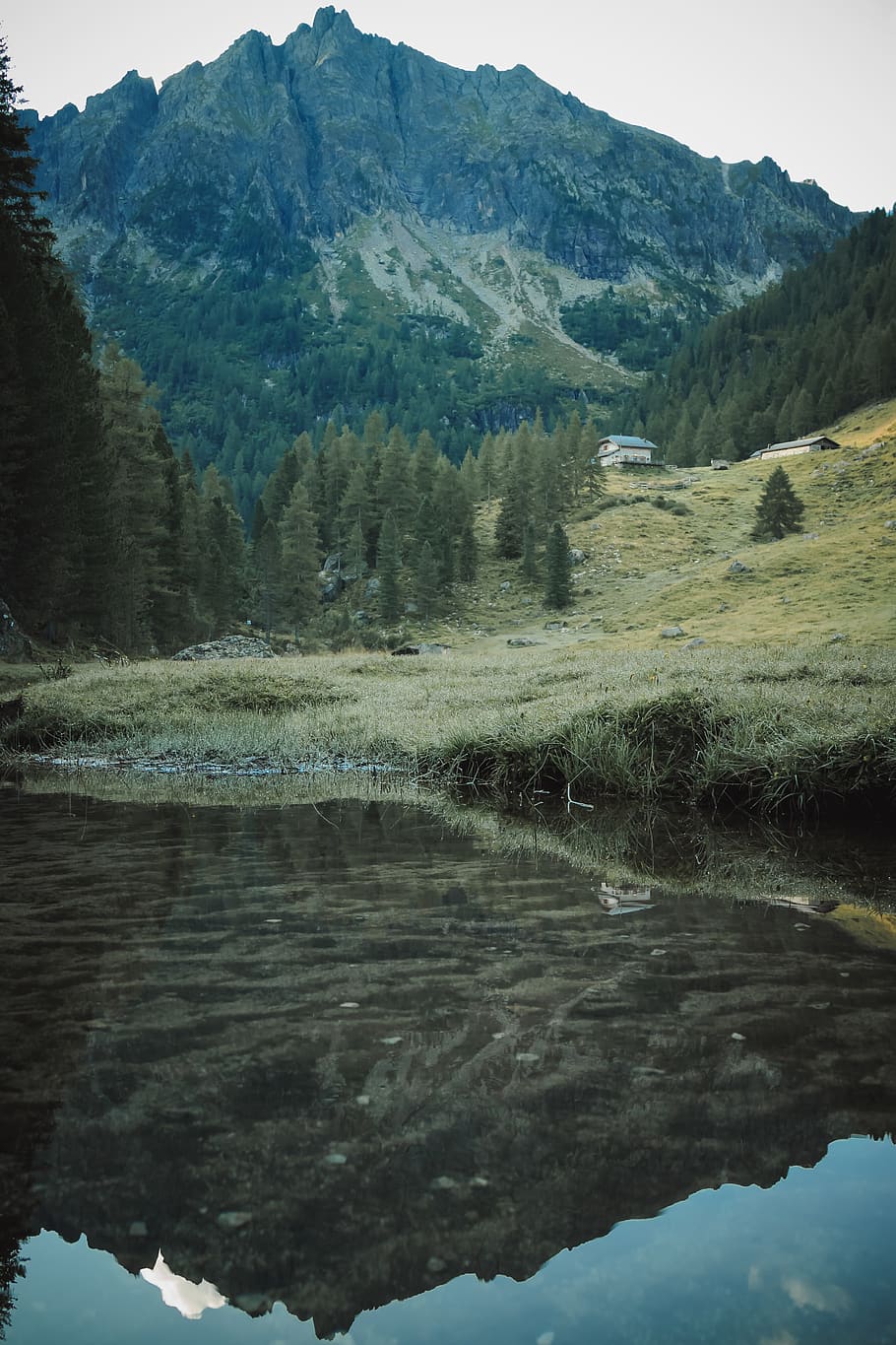 lake beside green trees during daytime, scurelle, italy, caldenave - lodge HD wallpaper