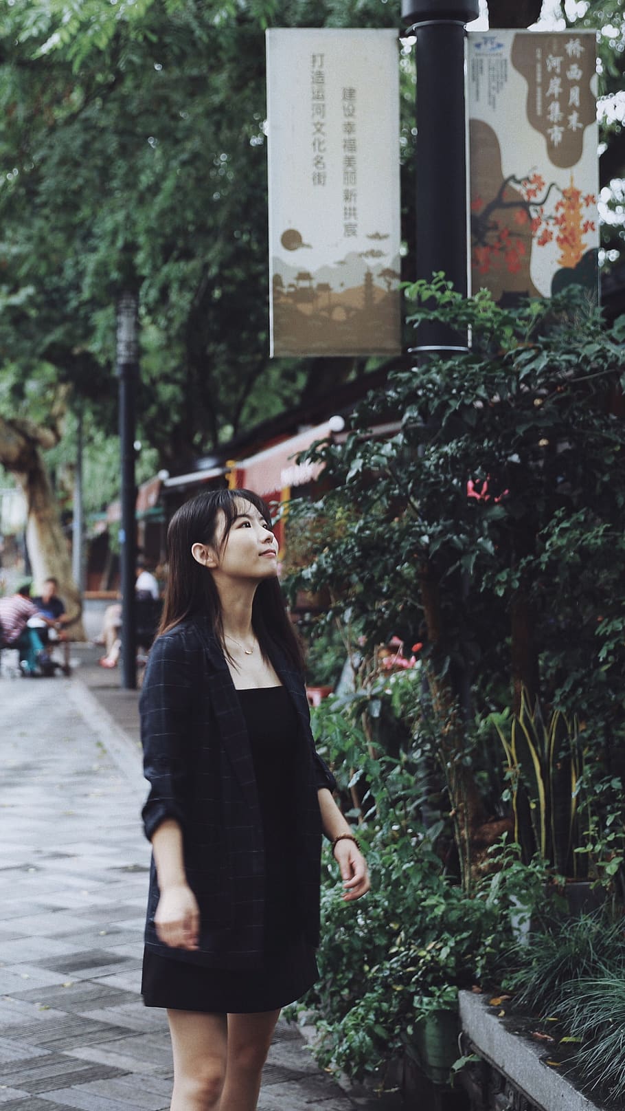 plant, real people, young adult, one person, tree, standing HD wallpaper