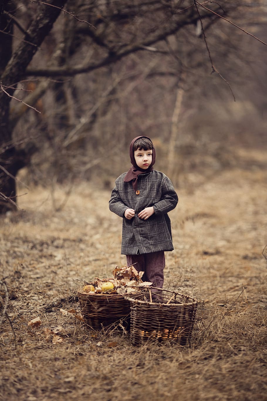 boy, the ussr, apples, autumn, apple orchard, wartime, after the war HD wallpaper
