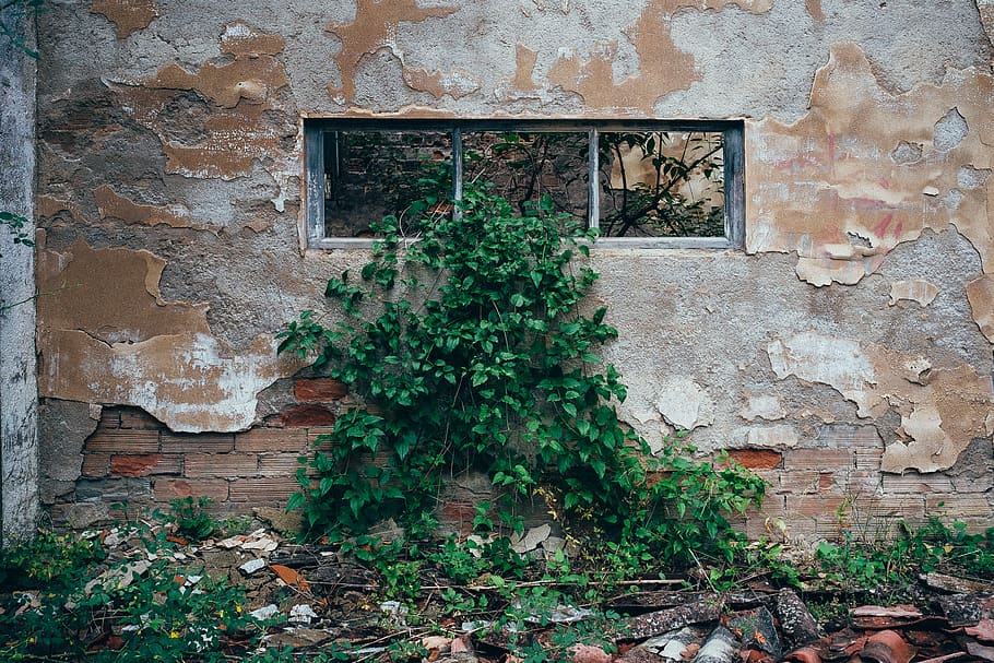 spain, canfranc-estación, decay, desolate, abandoned, nature HD wallpaper