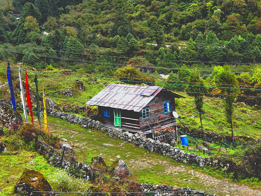 nature, outdoors, building, countryside, housing, rural, hut HD wallpaper