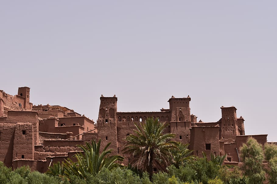 brown castle near palm trees, architecture, building exterior HD wallpaper