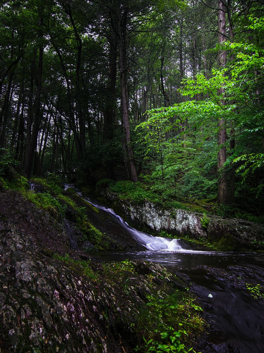 united states, stokes state forest, waterfall, rock, trees HD wallpaper