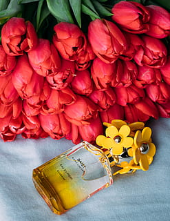 Red Tulips Near Perfume Bottle, aroma, beautiful, bloom, blooming HD wallpaper