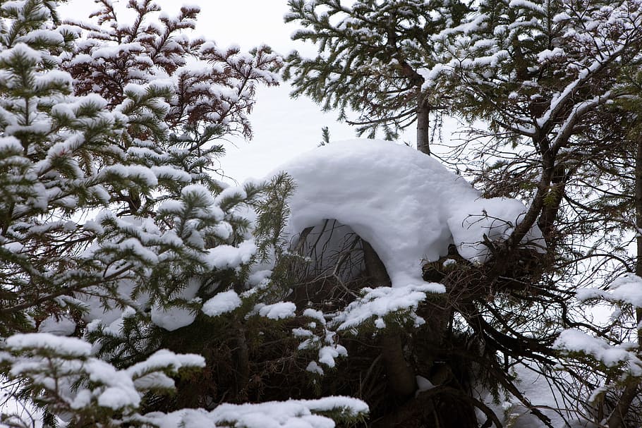 snowdrift, outdoor, closeup, cold, snowy, natural, backdrop HD wallpaper