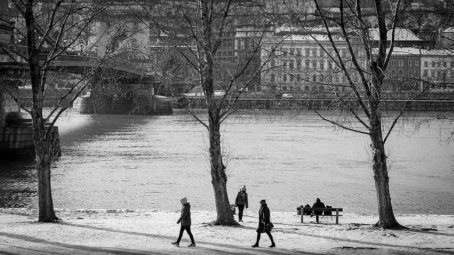 budapest, winter, hungary, architecture, danube, city, cold HD wallpaper