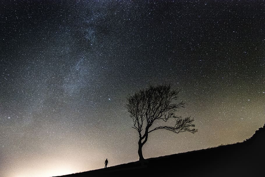 northern lights, silhouette, sky, night sky, borealis, aurora HD wallpaper