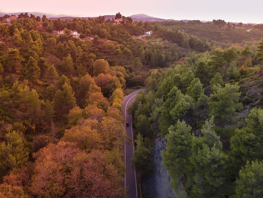 car on road, nature, scenery, outdoors, landscape, vegetation HD wallpaper