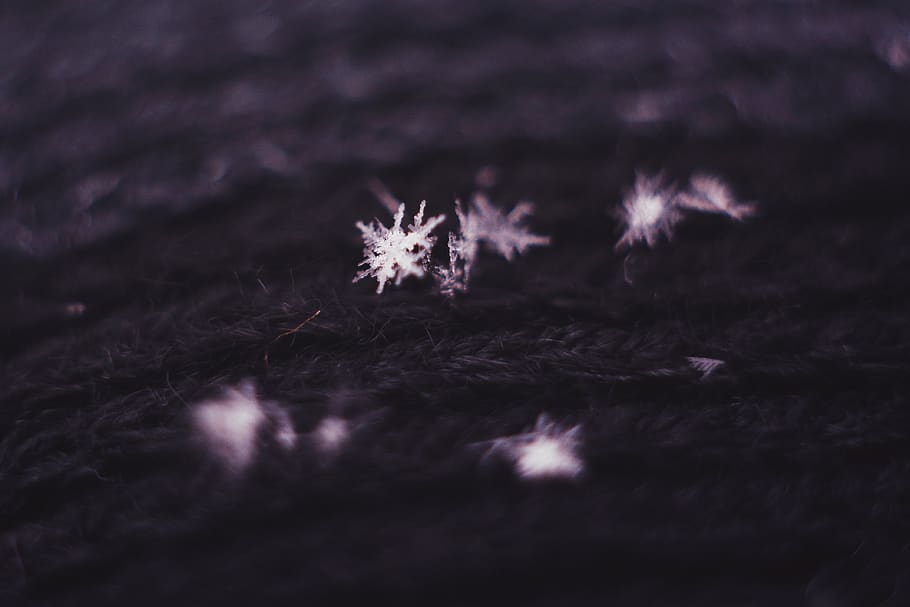 snowflake, black, wallpaper, background, nature, macro, light HD wallpaper