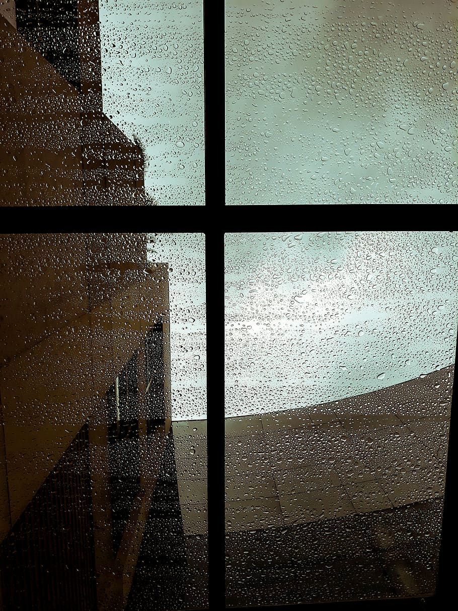 Wet Window, raindrops, waterdrops, glass - material, transparent HD wallpaper