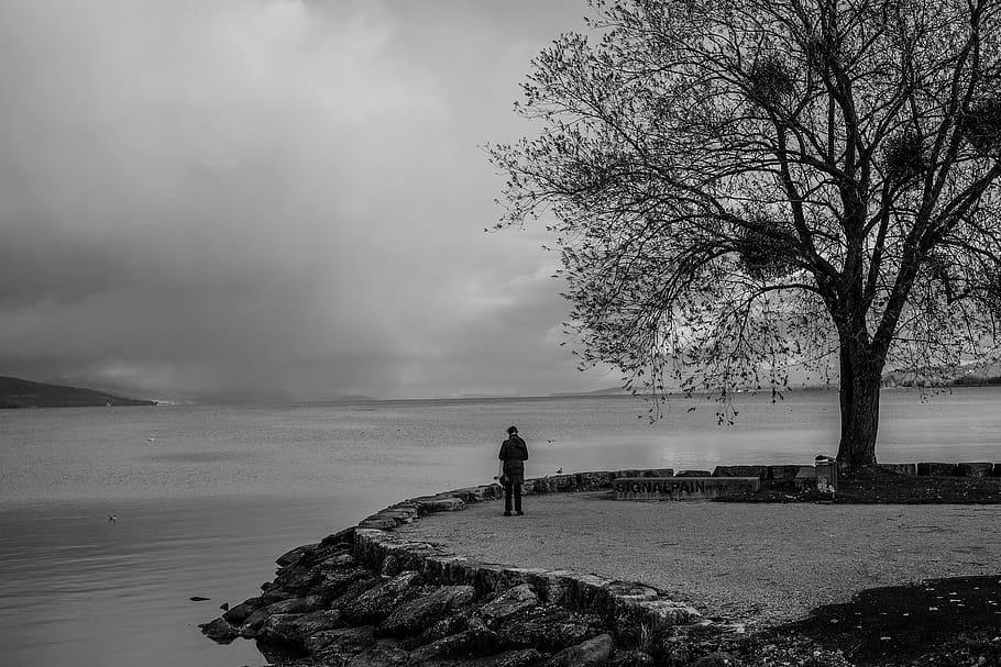 switzerland, yverdon-les-bains, solitude, lake, nature, blackandwihte, HD wallpaper