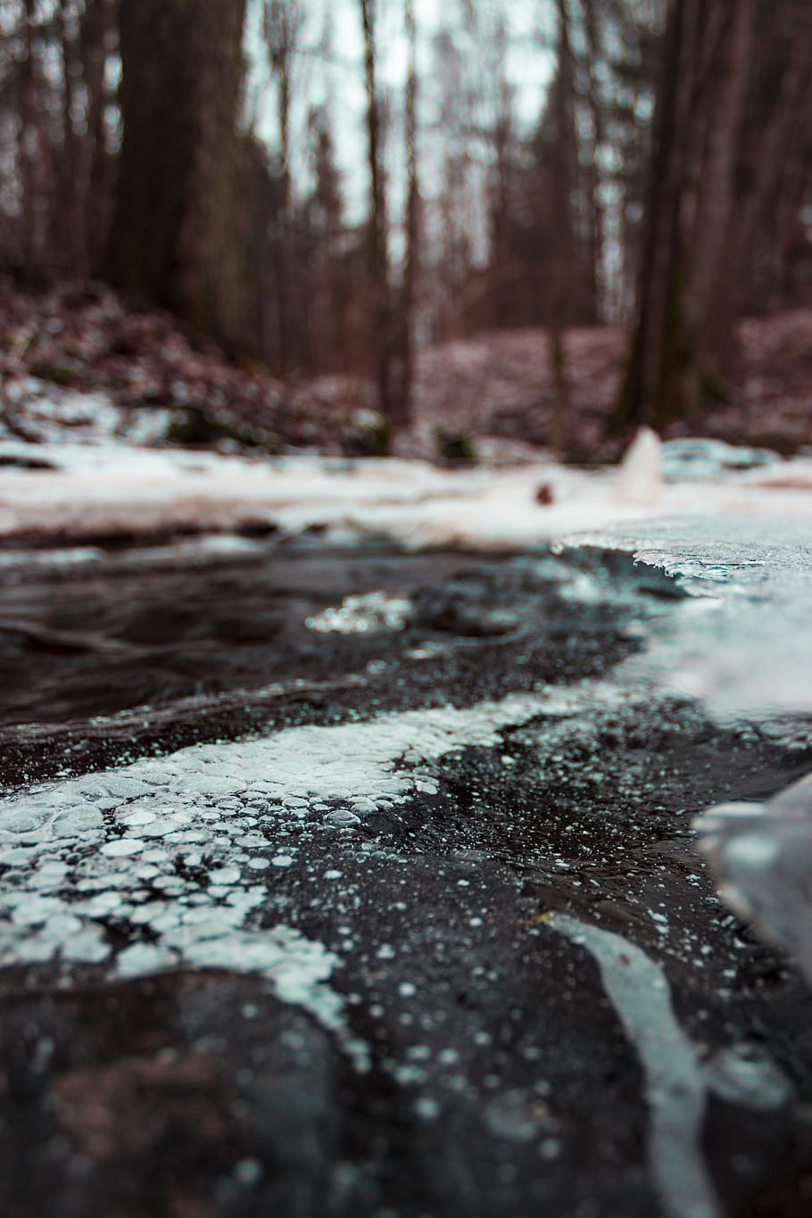 Shallow Focus Photo of Gray Ground, cold, environment, frost HD wallpaper