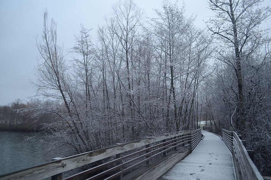 nature, outdoors, path, handrail, banister, ice, snow, road HD wallpaper