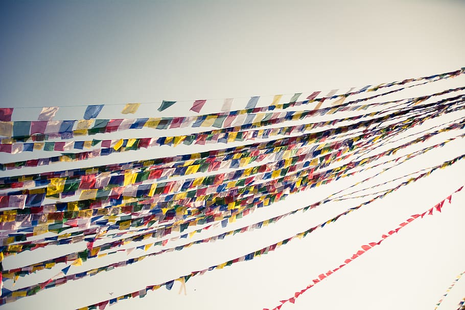 nepal, kathmandu, wind, prayer, flag, serene, sky, multi colored HD wallpaper