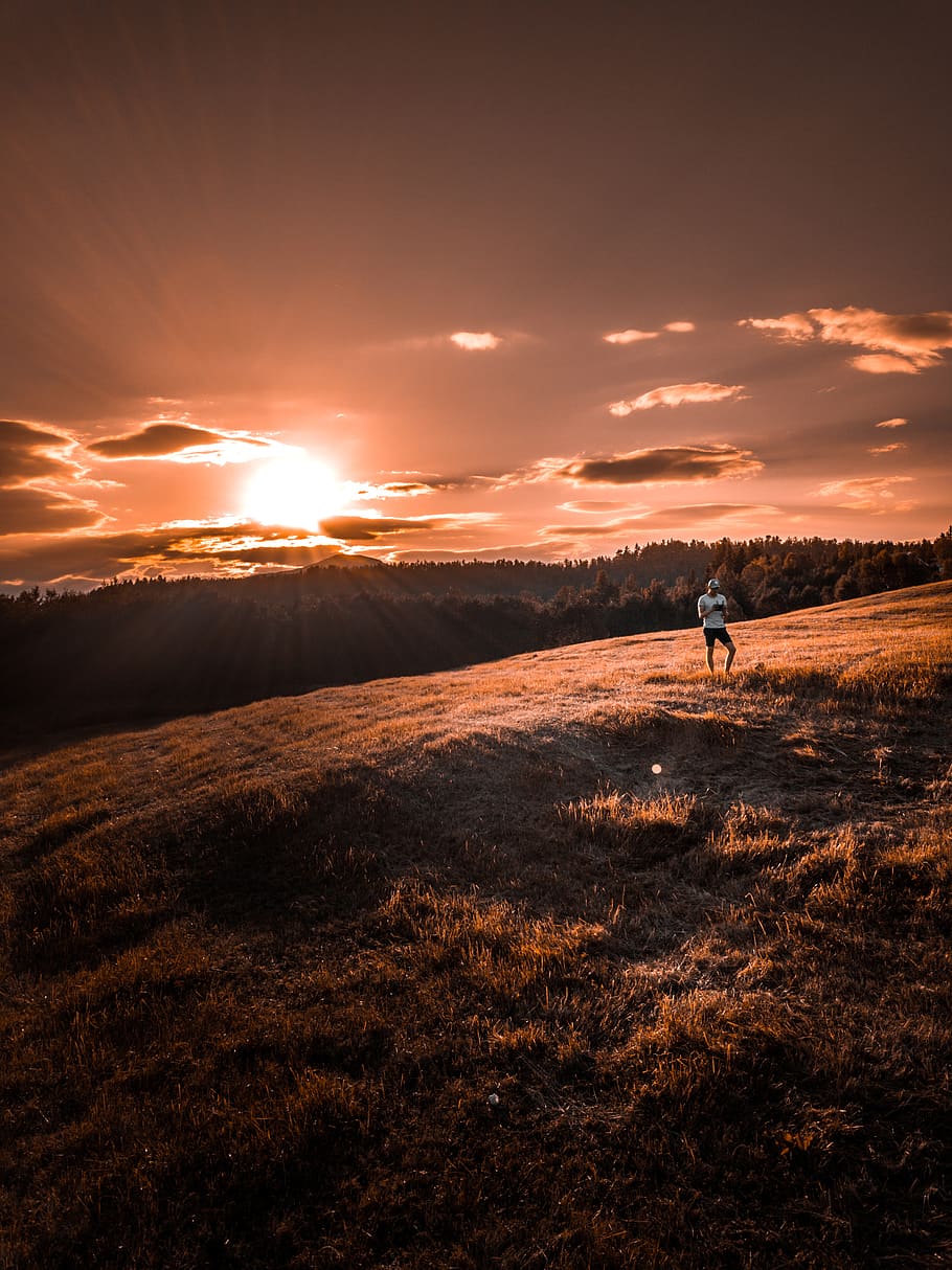 Person Standing on Brown Field during Sunrise, backlit, clouds HD wallpaper