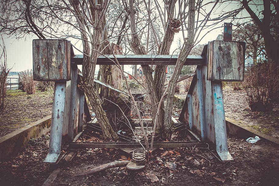 germany, mainz, tree, steel, train track, rhine, rhein, final destinaion HD wallpaper