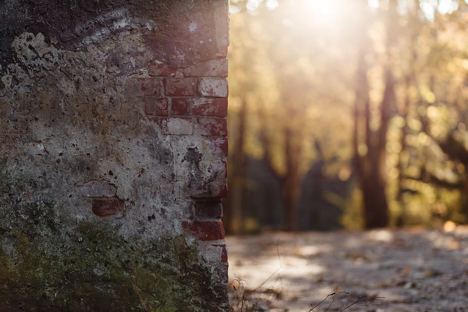 Shallow Focus Photography of Brown and Gray Bricked Wall, abandoned HD wallpaper