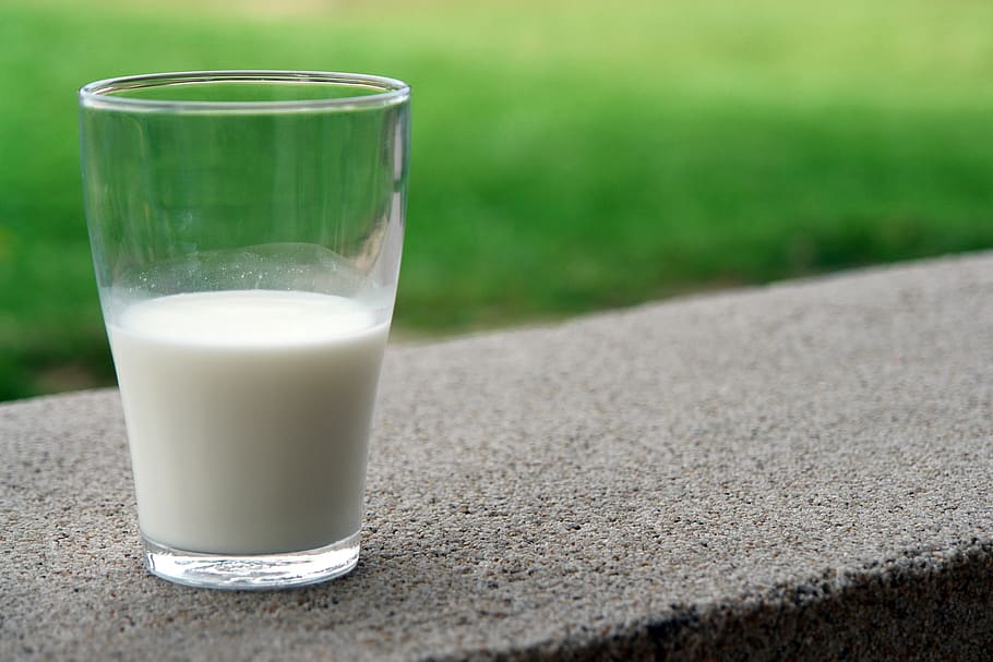 Clear Milk Glass, blur, calcium, close-up, dairy, drink, focus HD wallpaper