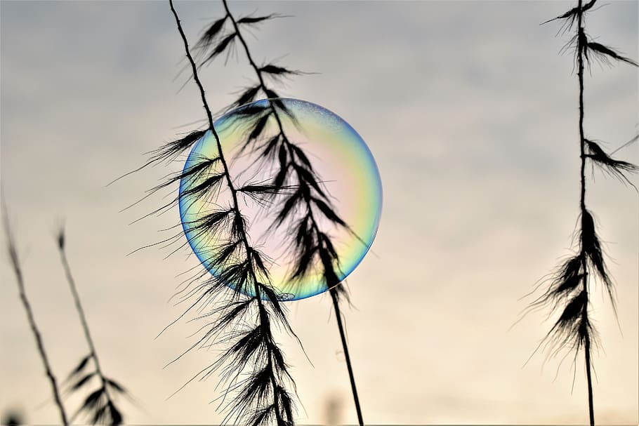 soap bubble, backlighting, mood, shimmer, rainbow colors, sunrise HD wallpaper