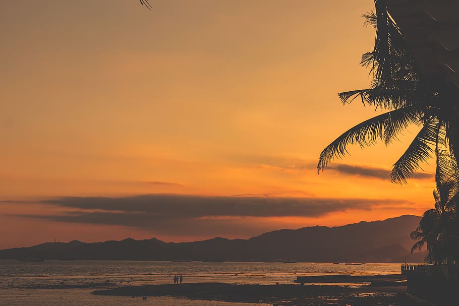 Sunset over Beach With People and Coconut Palm Trees, background