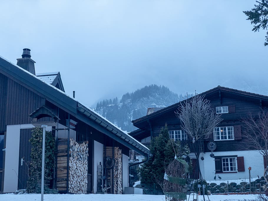 switzerland, snow, chalets, trees, winter, Fog, smooth lighting HD wallpaper