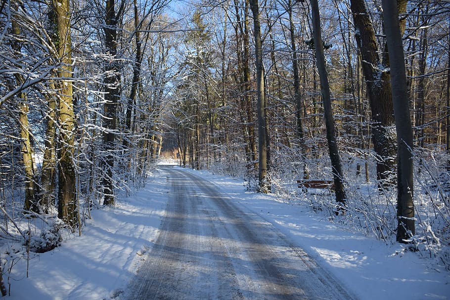 winter, away, nature, cold, landscape, wintry, forest, road HD wallpaper