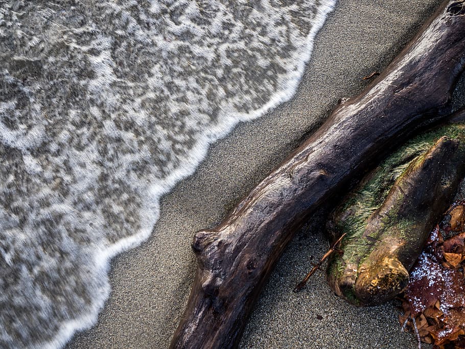 strand, seaside, winter, spume, wood, still, nature, vaud, switzerland HD wallpaper