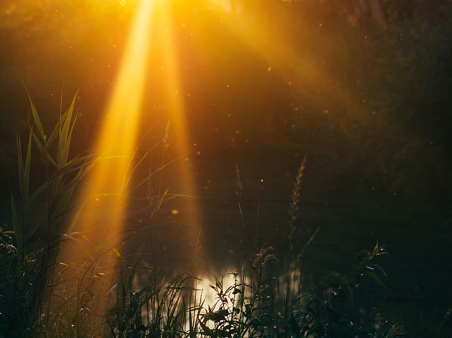 sun rays, sunset, lake, water, nature, outdoors, blurry, dusk HD wallpaper
