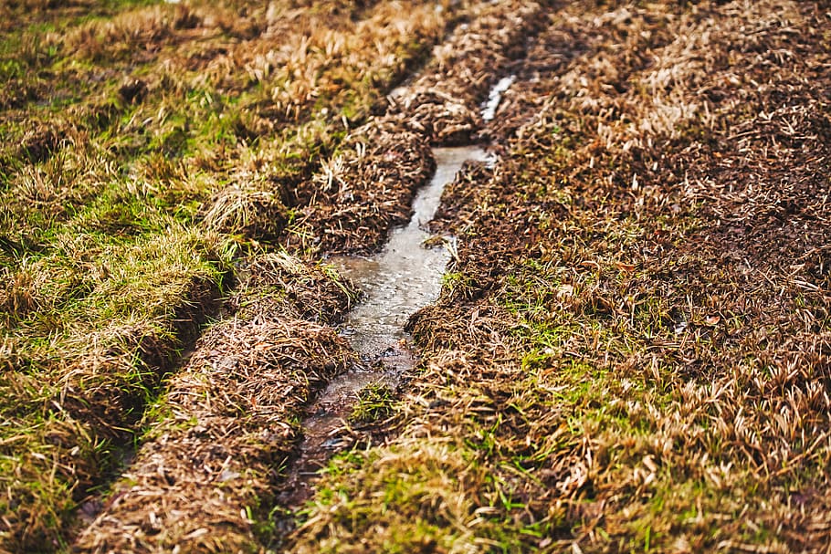 field, meadow, traces, ice, frozen, landscape, grass, rural HD wallpaper