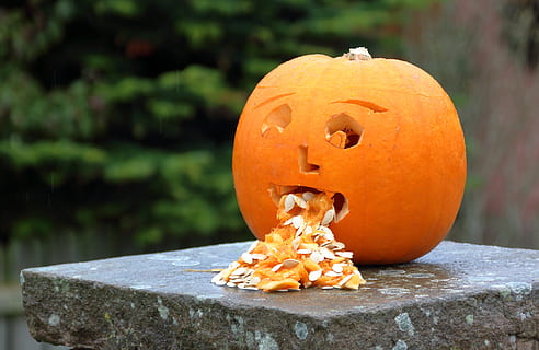 pumpkin, halloween, nausea, bad, unwell, vomiting, puke, creepy HD wallpaper