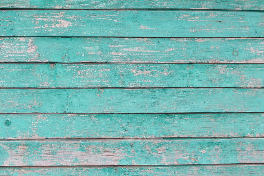 tree, green, wall, background, texture, house, old tree, paint HD wallpaper