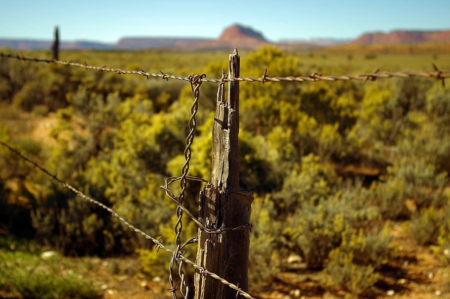 grand staircase escalante fence, barbed, wire, barrier, border, HD wallpaper
