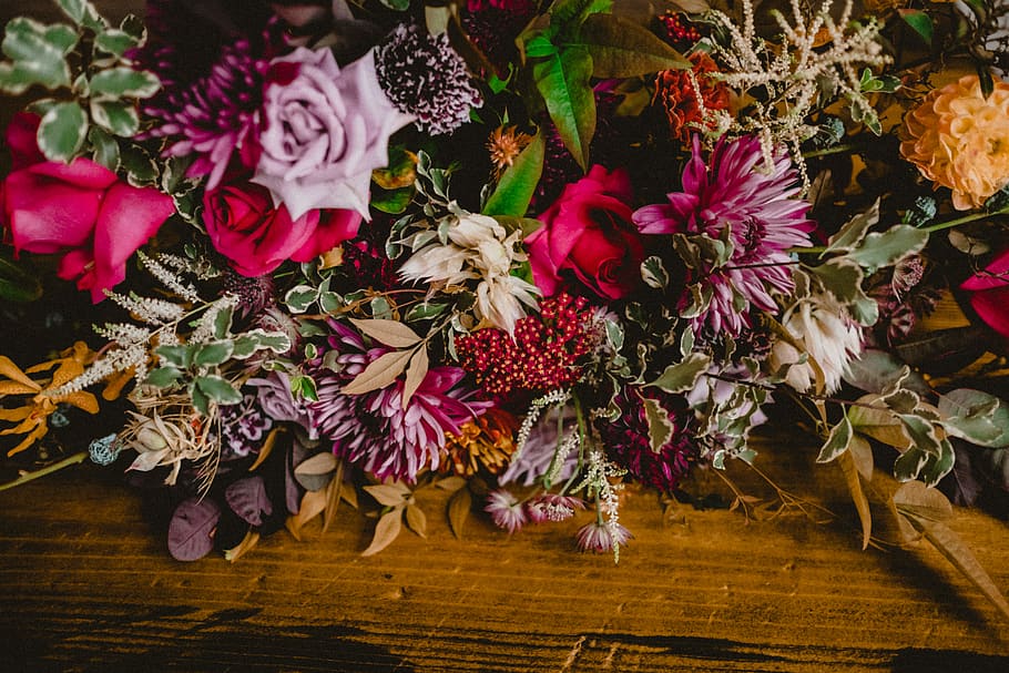 assorted flowers, plant, flowering plant, freshness, beauty in nature HD wallpaper