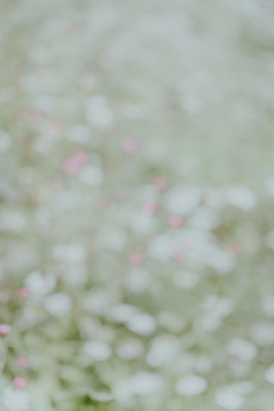 pastel, minimal, texture, nature, abstract, background, floral HD wallpaper