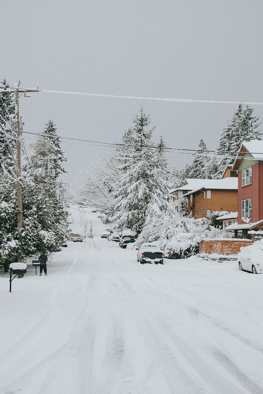 parked snow-covered car, plant, tree, abies, fir, human, person HD wallpaper